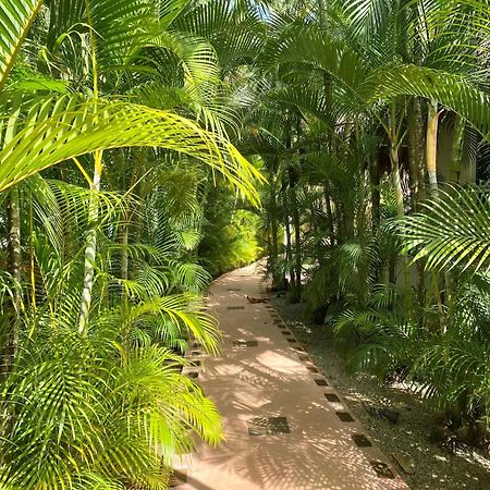 Chalet Tropical Au Coeur De לאס טרנאס מראה חיצוני תמונה